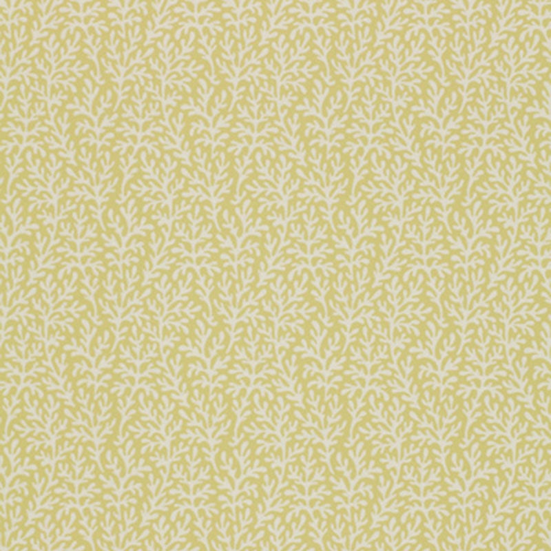 SEA CORAL CHARTREUSE WALLCOVERING – Designer Wallcoverings and Fabrics